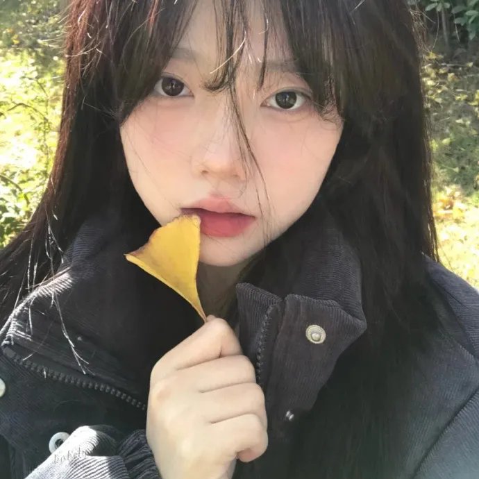 阴阳错国语